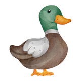 Bügelbild | Ente