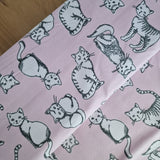 Jersey | Katze